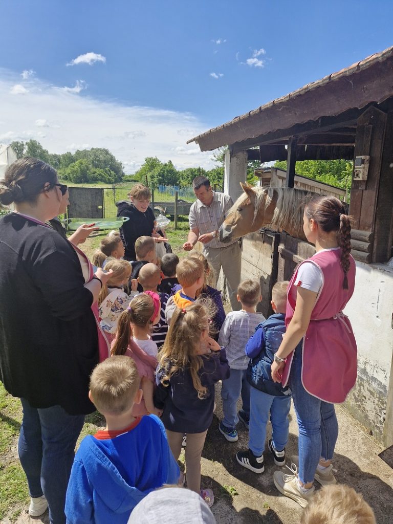 Posjet domaćinstvu obitelji Vuk