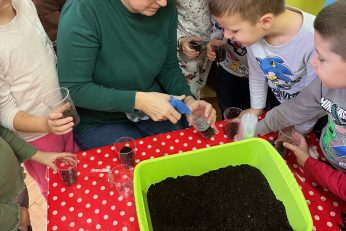 Radionica sijanja pšenice