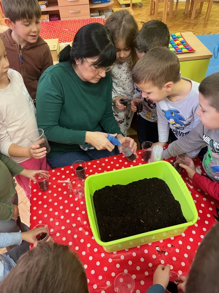 Radionica sijanja pšenice